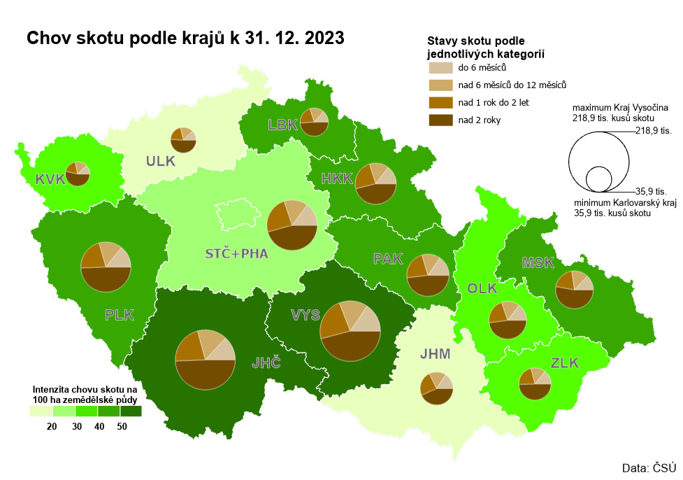 Kartogram: Chov skotu podle krajů k 31. 12. 2023