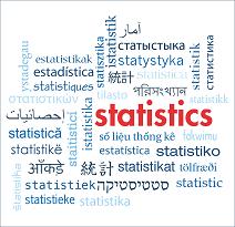Obrázek - Mezinárodní rok statistiky 2013