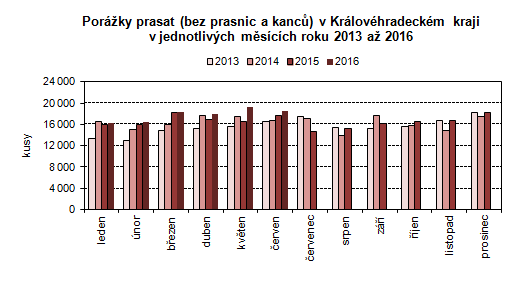 Graf: Porážky prasat (bez prasnic a kanců) v Královéhradeckém kraji v jednotlivých měsících roku 2013 až 2016