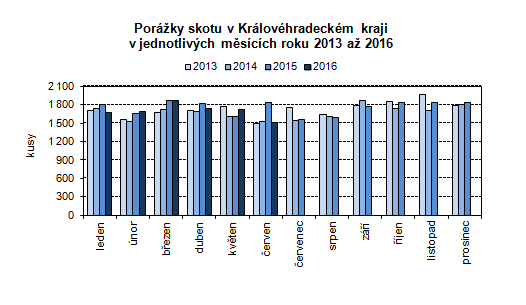 Graf: Porážky skotu v Královéhradeckém kraji v jednotlivých měsících roku 2013 až 2016