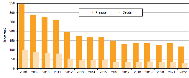 Graf 2 Stavy prasat v Jihomoravském kraji v letech 2008 až 2022