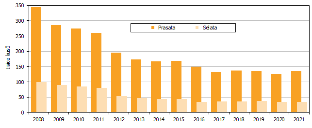 Graf 2 Stavy prasat v Jihomoravském kraji v letech 2008 až 2021