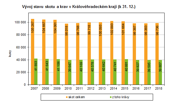 Graf: Vývoj stavu skotu a krav v Královéhradeckém kraji (k 31. 12.)