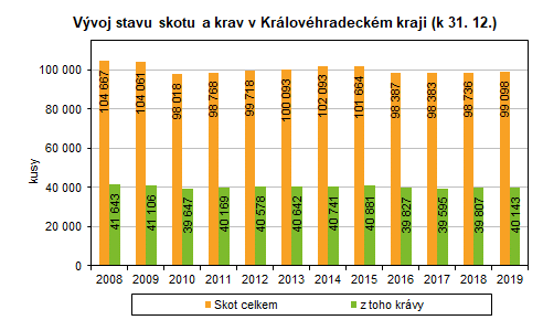 Graf: Vývoj stavu skotu a krav v HKK (k 31. 12. )
