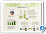 medicinal_plants