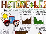 Historie lesů