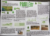 Problémy lesa a pralesa